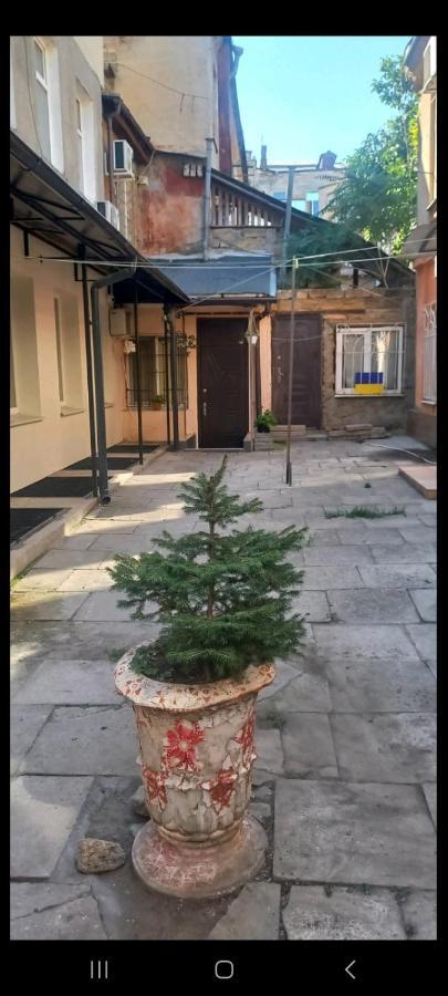 Александровский Oldenburg Bagian luar foto